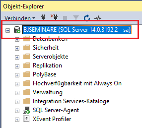Die SQL Server-Instanz im Objekt-Explorer